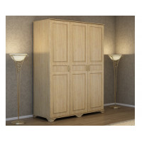 Шкаф Витязь 243